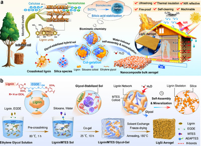 王清文教授團隊在木質(zhì)素基功能材料領(lǐng)域取得新進展，推動生物基材料技術(shù)研發(fā)邁向新高度