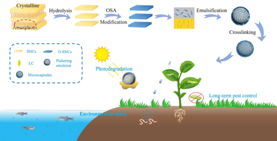 可降解淀粉基農藥微膠囊 以生物基材料技術助力農業可持續發展